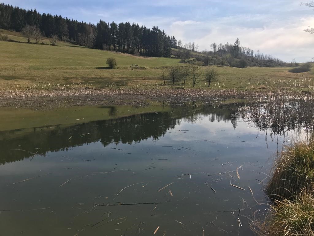 Wanderberichte - Hahnenklee-Bockswiese im Harz
